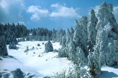 Διάφορες φωτογραφίες