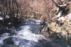 nera01