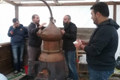 giorti-tsipourou-2016-02