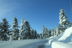 Χειμώνας 2016-2017