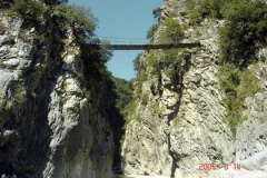 08