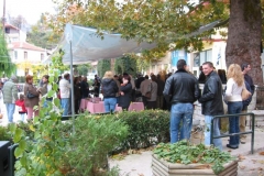 Γιορτή Τσίπουρου 2005