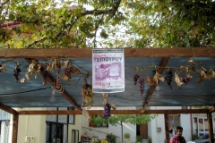 tsipouro2006- (10)