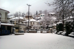 domnista-(1)