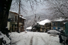 domnista-(3)